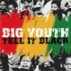 CD BIG YOUTH - Tell It Black  SMDCD245 Snapper Music 2000 UK Регги, Ска и Даб Б/У