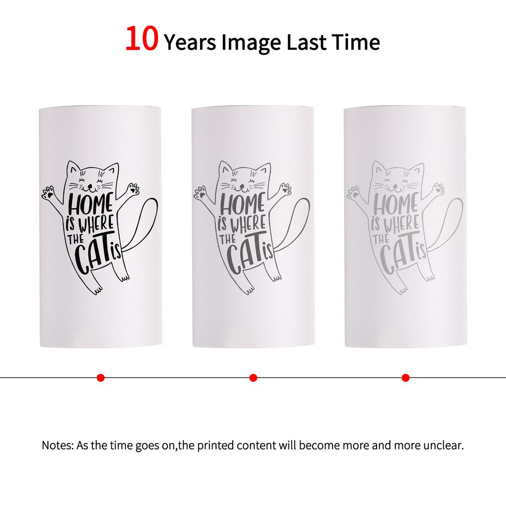 SelfAdhesive Direct Thermal Paper White Printable Sticker Paper BPAFree