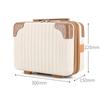 Hand-Held 14 Inch Cosmetic Storage Luggage Case Travel Vintage Cosmetic Bag Suitcase Scratch-Resistant