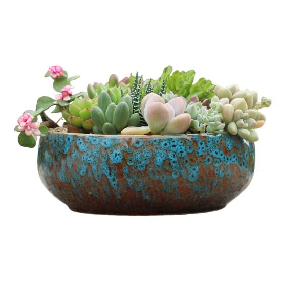 Керамическая чаша-лото для водных растений, герметичный гидропонный цветочный горшок, высокотемпературная керамическая чаша для суккулентов, аквариум