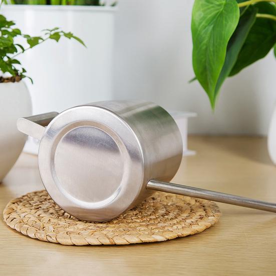 10 унций/300 мл мини-лейка из нержавеющей стали с длинным носиком для опрыскивания горшечных растений, маленькая лейка для комнатных уличных цветов, суккулентов, садовая лейка