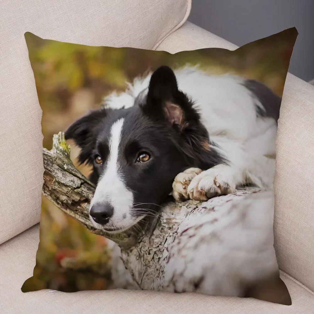 Милый Домашний Питомец Наволочка Шотландия Бордер Колли Наволочка для Дивана Автомобильного Декора Принт Собаки Мягкая Плюшевая Наволочка
