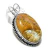 Ископаемый коралл драгоценный камень 925 стерлинговое серебро ювелирный кулон 2,21" S2l39