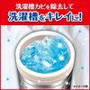 Mold Killer Washing Machine Drum 550g x 3 Includes Cleaning Removes Mold and Compatible with No Soaking or Scooping Bulk Purchase Cleaner, Liquid,