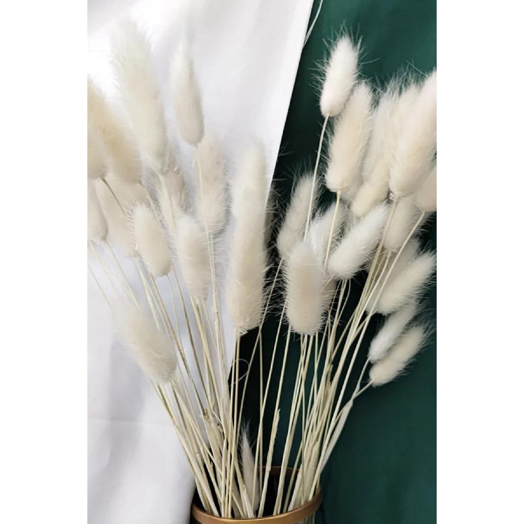 Натуральная сушеная хлопчатник, кроличий хвост, свадебный букет, композиция из цветов лагуруса, 30 веток