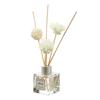 Aromatherapy Perfume Diffuser Set For Home Room Office Bathroom Living With Rattan Ball And Flower D