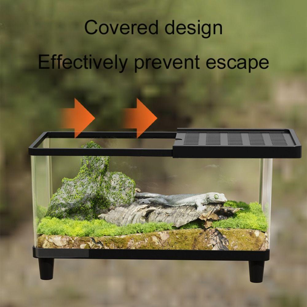 Transparent Reptile Terrarium Visual Reptile Habitat Insect Observation Box Amphibians
