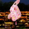 Handmade Chinese Rabbit Lantern Cartoon Mid-Autumn Festival Lantern  Mid-Autumn Festival