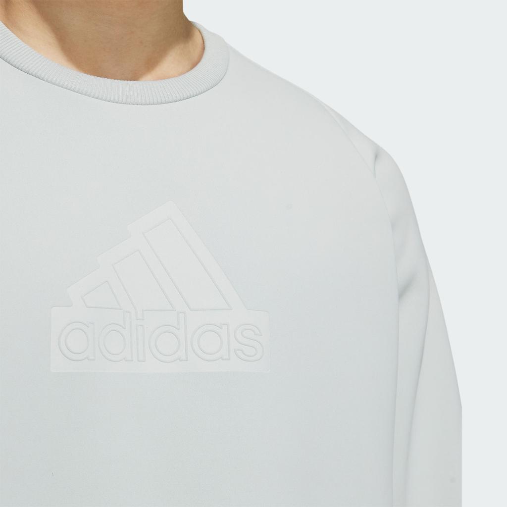 adidas SS24 Дзен-лечение ZNE. Повседневная толстовка на флисовой подкладке Мужская толстовка серебристо-серая IQ1376