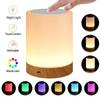 Bedside Touch Lamp Touch Sensor Table Lamp Led Smart Atmosphere Mood Night Light + Usb Rechargeable Dimmable Warm White Light Color Changing Rgb Ahet