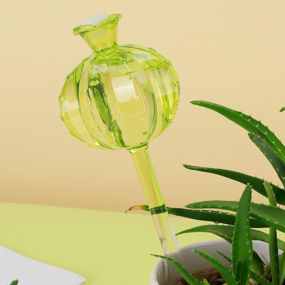 Automatic Cactus Self Watering Planter Cactus Plant Water Feeder Glass Bulbs Indoor