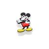 Disney Mickey Mouse Character