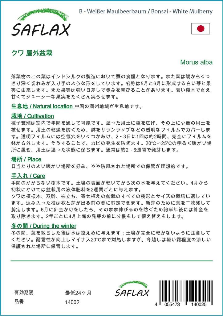 SAFLAX Бонсай - Белая шелковица - 200 семян - С горшечным субстратом для лучшего выращивания - Morus alba