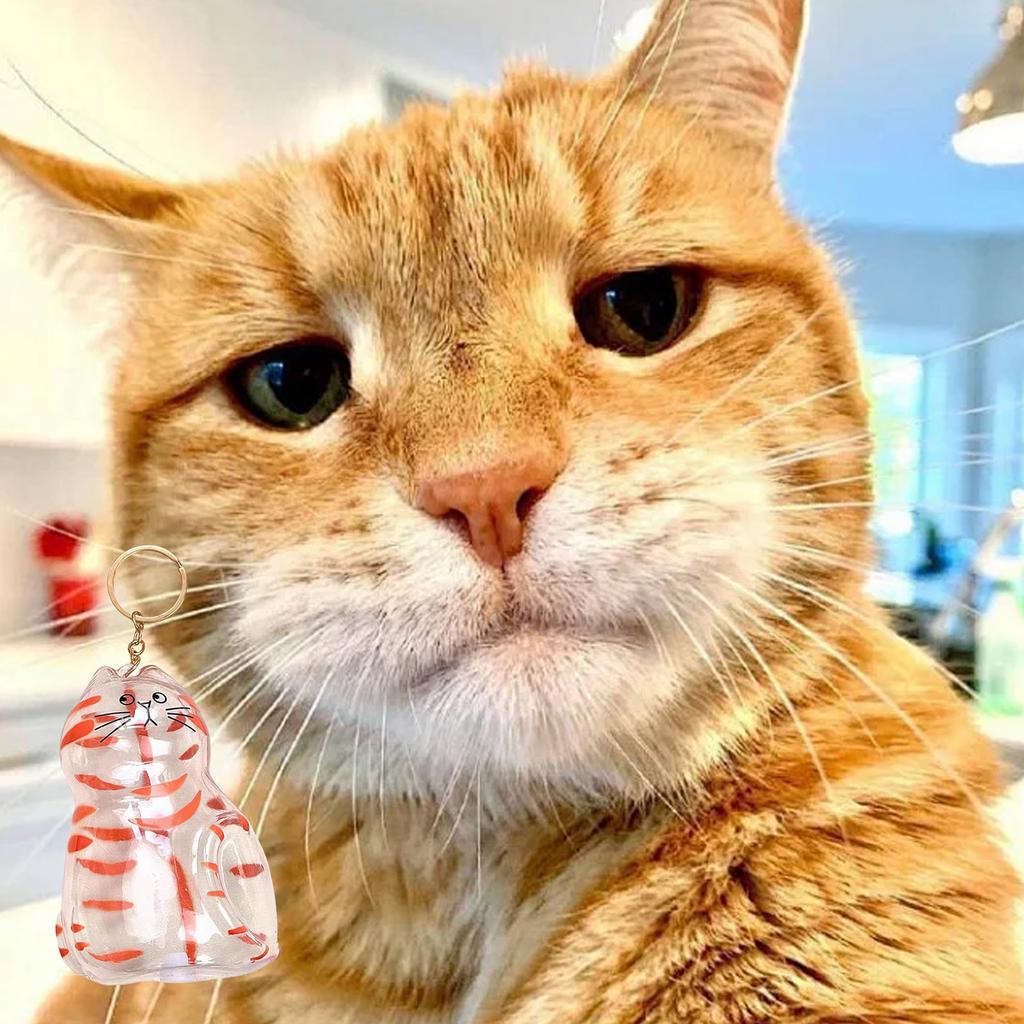 Large Cats Furs Keepsakes Storage Box Elegant Memorial Pendant For Pet Hair Storage Collector And Display Case Charm