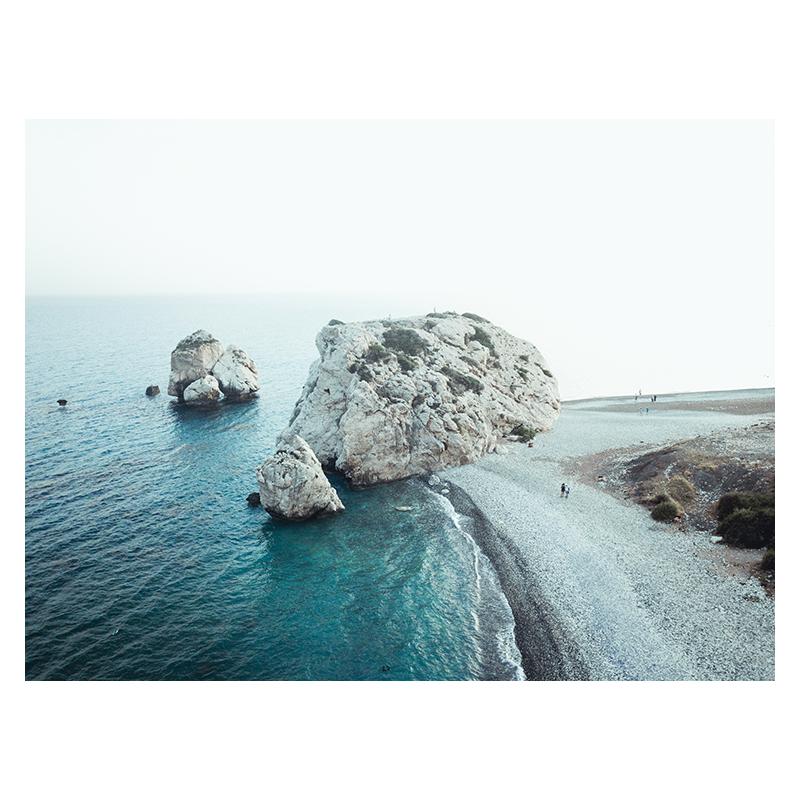 Bridge Leaves Turtle Seagull Wall Art Print Painting Beach Sea Ocean Canvas Poster Vibrant Summer Picture Nordic Home Decoration