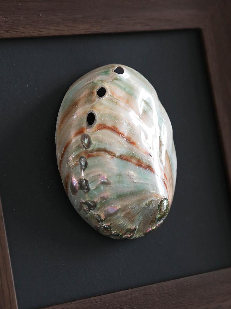 Натуральная Раковина Декоративная Картина Фоторамка Подвеска Фоновая Стена Декоративные Аксессуары Ракушки Украшения Рамка для Фотографий