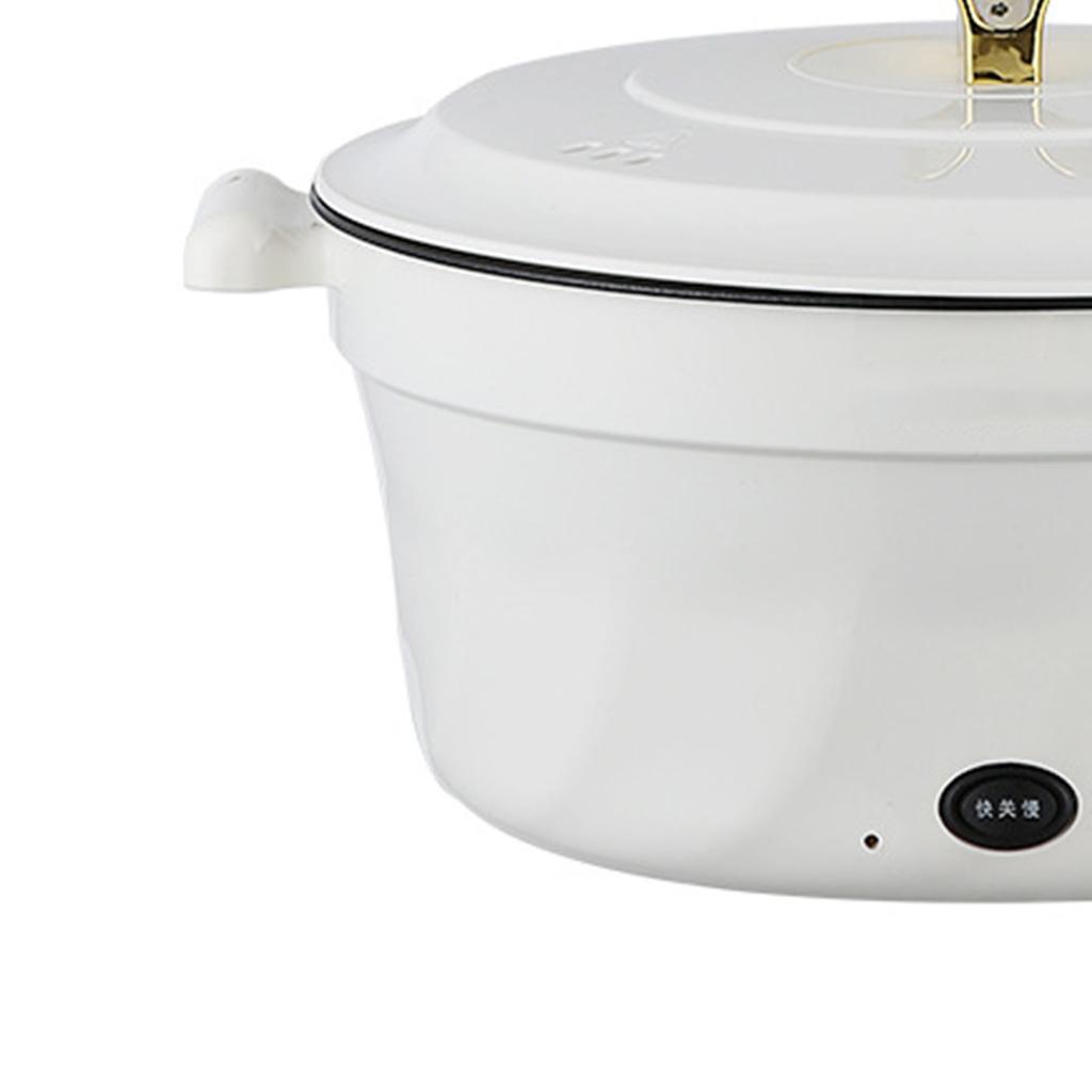 Electric Pot Multifunctional Dormitory Student Cooking Pot Electric Cooker Standard