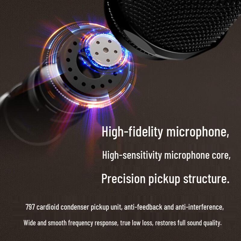 Edifier IU22 Wireless Portable Microphone