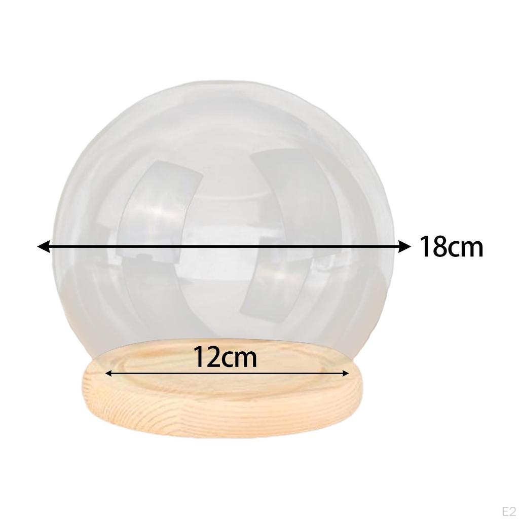 Прозрачная стеклянная купольная банка-шар с деревянной подставкой