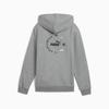 Boy's hoodie Puma POWER GRAPHIC FZ FL gray 68185503 size 140