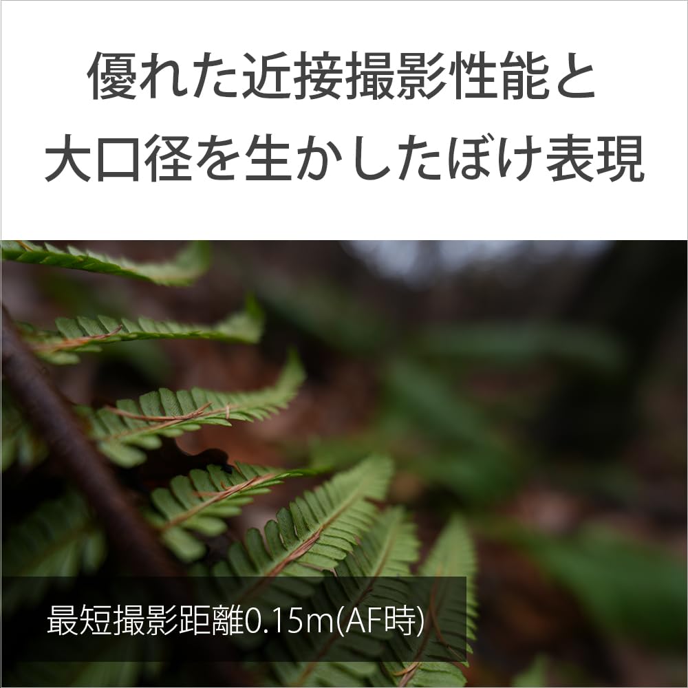 Sony SEL16F18G Prime FE 16mm G Genuine Lens for Digital SLR Cameras Wide-Angle Lens, F1.8 Lens, Full-Frame [E-Mount]