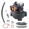799584 Карбюратор для Briggs Stratton 550EX 625EX 675EX 725EXi 09P702 103M02