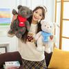 New Scarf Bear Plush Toy Cartoon Skin-friendly Hug Bear Companion Doll Doll Give Girls and Children Gifts