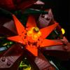 Led Lighting Kit For 10370 Creator Expert Botanical Collection Poinsettia Not Include Building Blocks