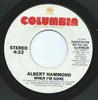 7-дюймовая пластинка ALBERT HAMMOND - When I'm Gone 1160510 Columbia 1981 США Поп Б/у