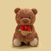 Valentine's Day Roses Teddy Bear Cartoon Animal Plush Toys 2 Colors Brown Bear Holding Roses Dolls Sweet Gift For Girls Lovers