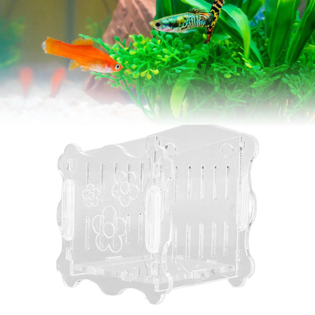   Plant Cup Acrylic Transparent Permeable Hole   Safe   Plant Pot with Suction Cup for Fish  