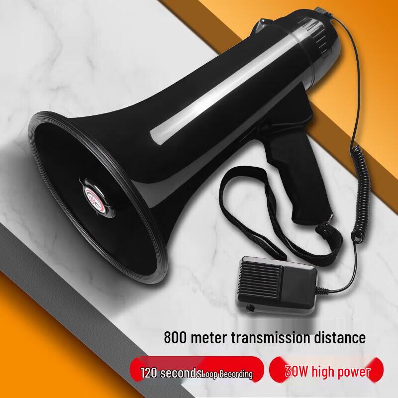 Leigongwang CR-62 30 Вт Портативный USB Мегафон для Записи CN вилка (адаптер в комплекте)