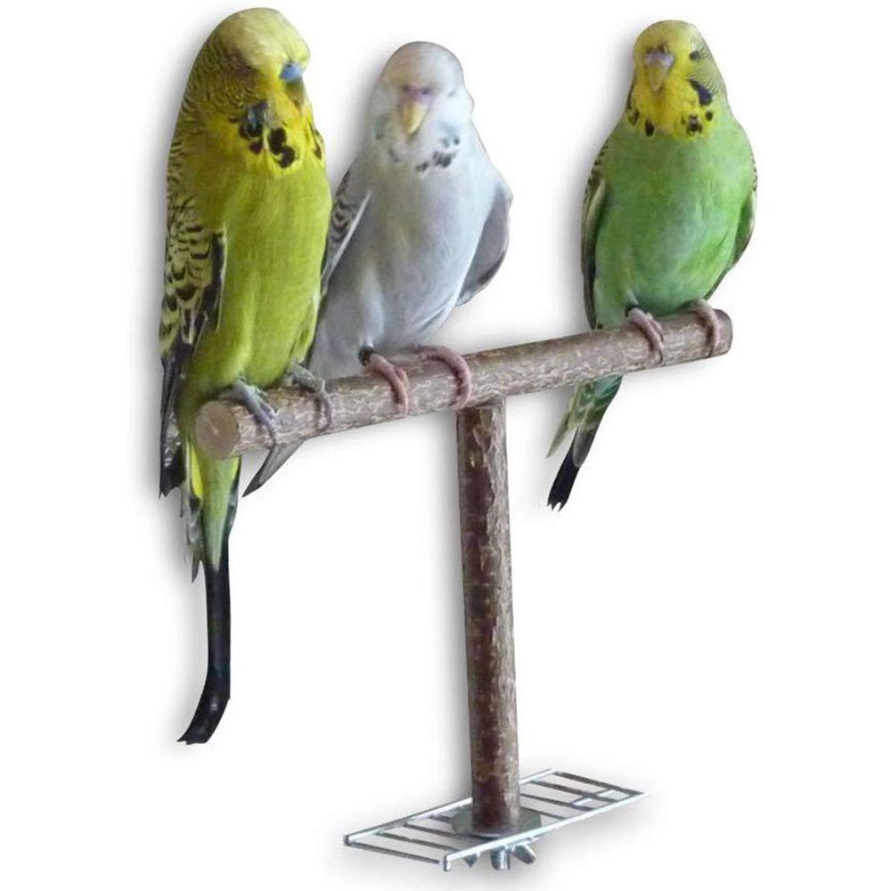 Use on Cage Grinding Perch Natural T Shape Branch Parakeet Chewing Toy Bird Toy Parrot Stand Wood