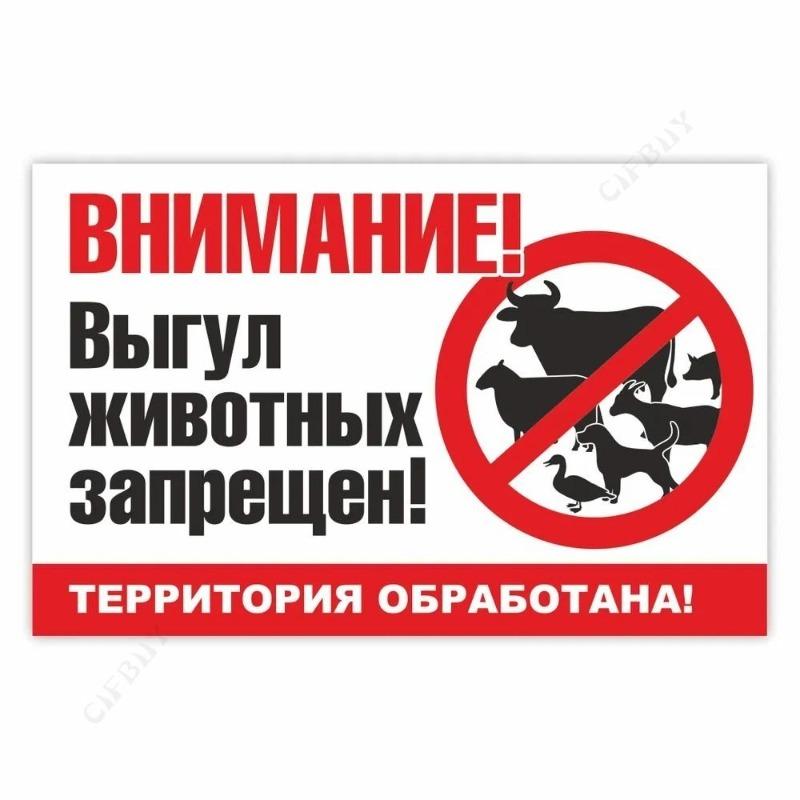 Металлическая табличка «Выгул собак запрещен», табличка для мастерской 20x30 см