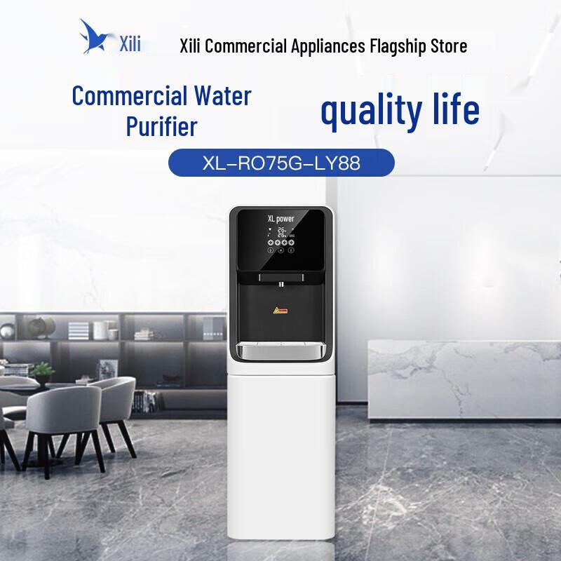 Xili Commercial RO Direct Drinking Water Purifier