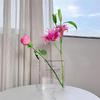 Unique Clear Book Vase Aesthetic Acrylic Vase Unique Flower Vase For Cute Bookshelf Decor Modern Style Vase Aesthetic Room Decor