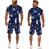 New Fashion Hawaiian Style 3D Print Tees/Shorts/Sets Casual Holiday Couple Outfits Summer Short Sleeve T-Shirt Beach Shorts Suit