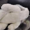 [USED] Rabbit, rabbit, plush toy, Showa retro, toy, artist teddy bear, rabbit
