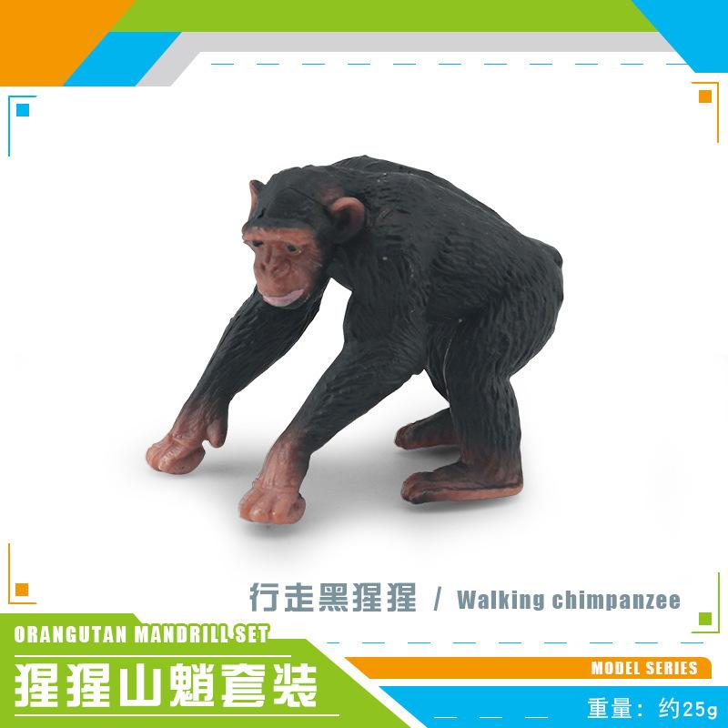 Source Simulation Animal Model Orangutan Mandrill 7 Chimpanzee Ghost Baboon Solid Static Ornament Toy