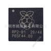RP2040 Официальный чип управления Raspberry Pi Pico