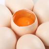 Shendan Free-Range Edible Raw Fresh Eggs