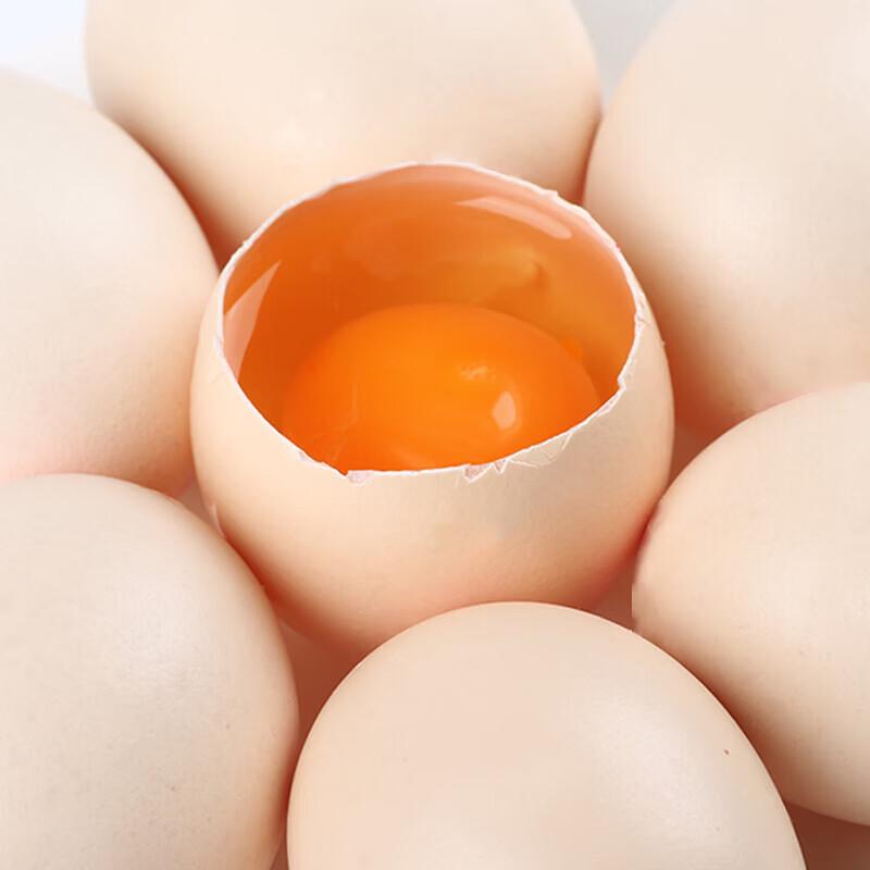 Shendan Free-Range Edible Raw Fresh Eggs
