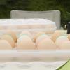 Transparent 12/18 Grids Egg Tray Snap-on Egg Fresh-keeping Case Practical Egg Storage Box  for Home