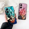 DragonBalls Vegeta Dragons Gokus Balls Phone Case for Apple iPhone 12 13 Mini XS 11 Pro Max 7 8 Plus + XR 8+ X SE 2020 SE3 Cover