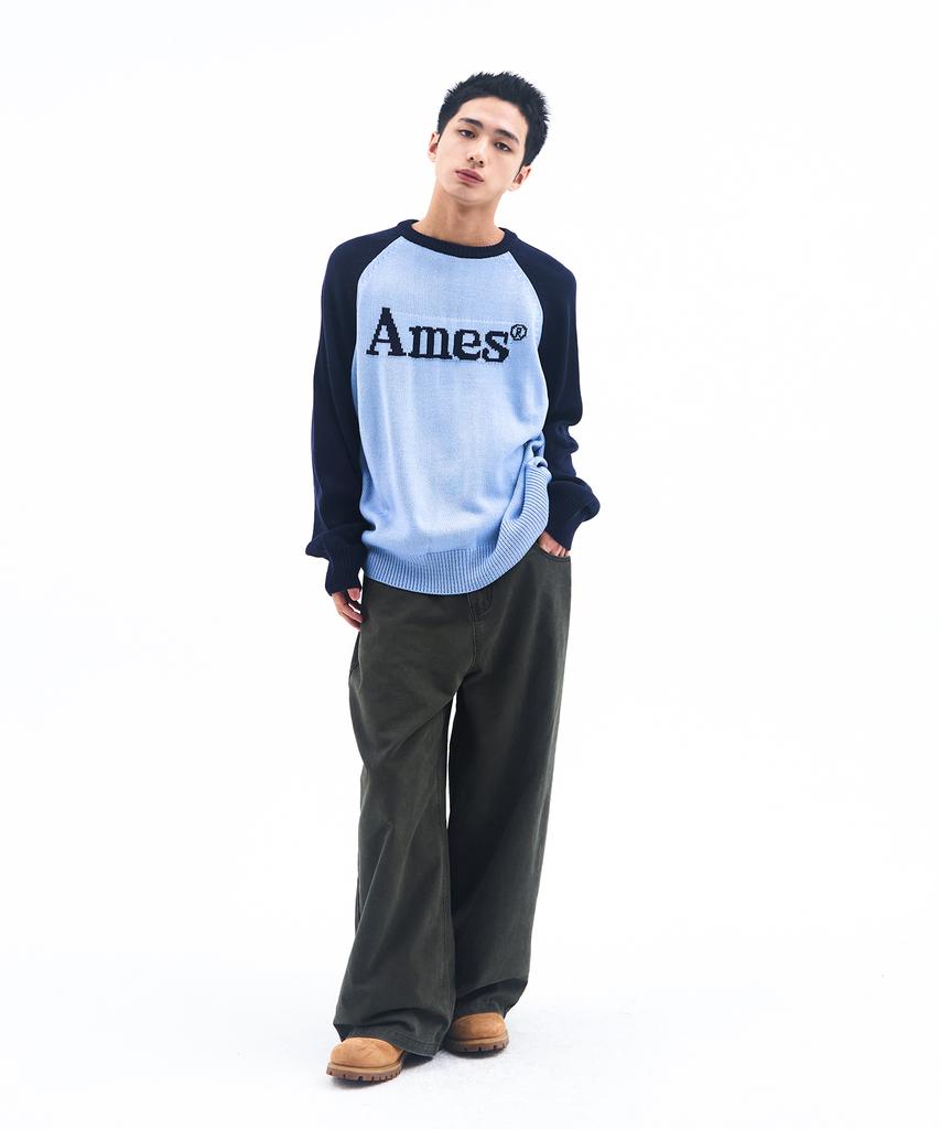 AMES-WORLDWIDE Basic Raglan Pullover Knit Blue