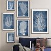 Navy Blue Sea Coral Seaweed Wall Art Canvas Painting Nordic Posters And Prints Beach House Wall Pictures For Living Room Decor