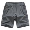 Men's Quick-Dry Ice Silk Breathable Sports & Beach Shorts