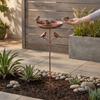 Standing Bowl Iron Bird Bath Feeder 5 Claw Ground Plug Bird Water Drinker  Lawn Backyard