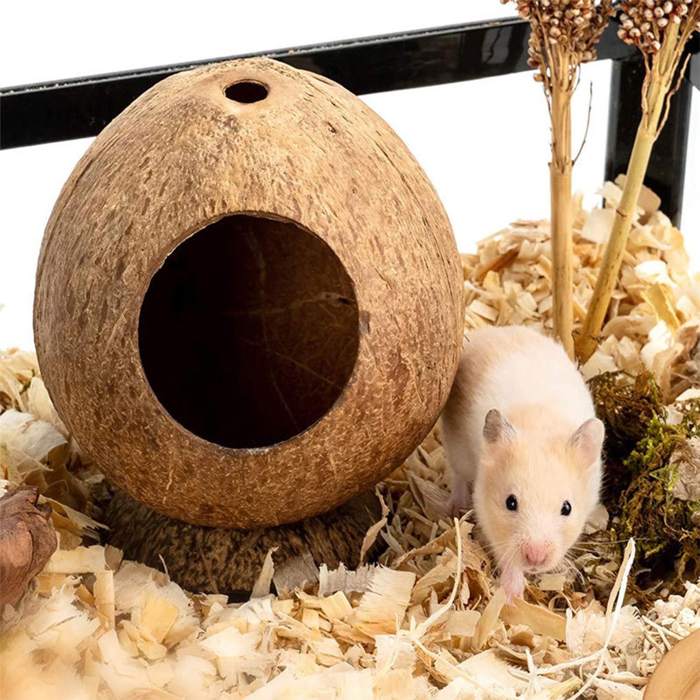 Coconut Hamster House - Easy To Care For And For Small Spaces Hideout Nest Pet Toy Unique Pets Terrarium-Friendly Pets