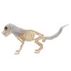    Standing Dog Skeleton Halloween Prop for   Decor  